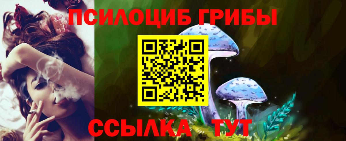 Ростов Великий  Псилоцибиновые грибы Psilocybine cubensis  Вход с VPN 